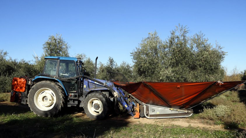 Els pagesos catalans reben més de 8.000 MEUR en els darrers 25 anys a través de la Declaració Única Agrària