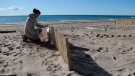 La platja de Calafell incorpora captadors eòlics per afavorir el manteniment de les dunes i la resiliència de l'entorn