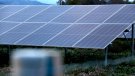 Territori pretén implantar 515 MW d'energia solar fotovoltaica i 155 d'eòlica al Baix Penedès fins 2050