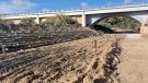 La Generalitat millora la connectivitat ecològica de rieres i torrents de la conca del Foix