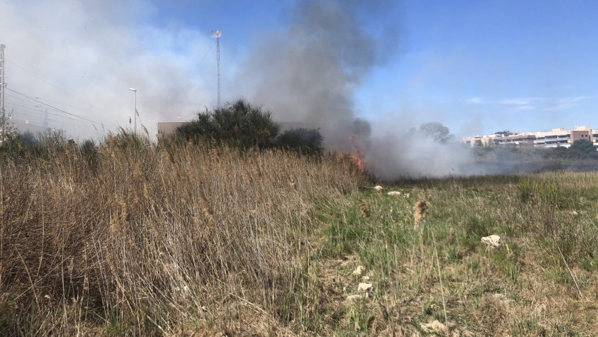 Les altes temperatures, la humitat baixa i els vents moderats obliguen a reforçar les mesures de prevenció d’incendis forestals.