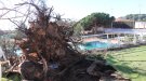 Una quinzena d'estacions del Meteocat superen els 100 km/h de ratxes de vent 