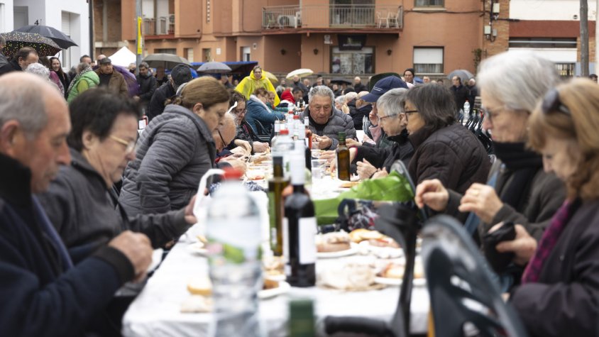 Diumenge torna la Festa del Soci de Cellers Domenys