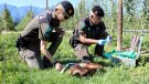 Els Agents Rurals posen en marxa una campanya preventiva per evitar l'ús de verins al medi natural