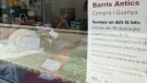 Ja es coneixen els guanyadors del Vendrell de la campanya “BARRIS ANTICS. Compra i guanya”