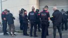 Sis detinguts durant un dispositiu policial conjunt al Baix Penedès 
