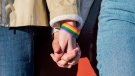 SP-ERC presenta una moció per blindar els drets LGBTI+ i combatre l’onada de discursos d’odi
