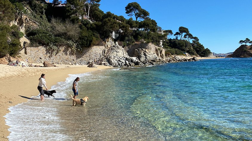 La majoria d’aquestes platges permeten l’accés amb animals en tot l’horari diürn durant la temporada alta de bany